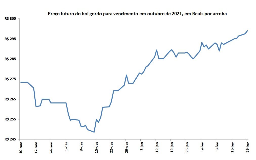 mercado futuro do boi gordo