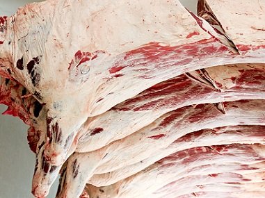exportação de carne bovina