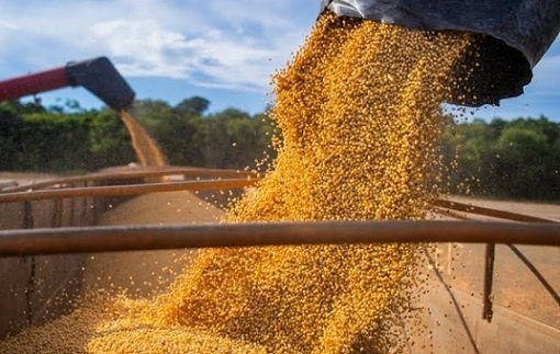 participação da china no agro do Brasil