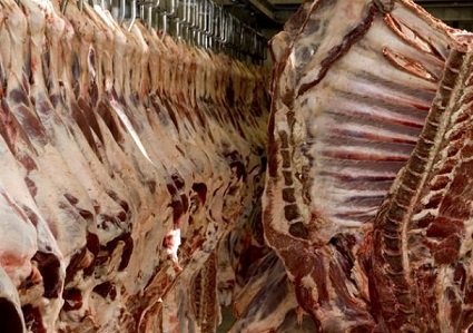 maiores importadores de carne bovina