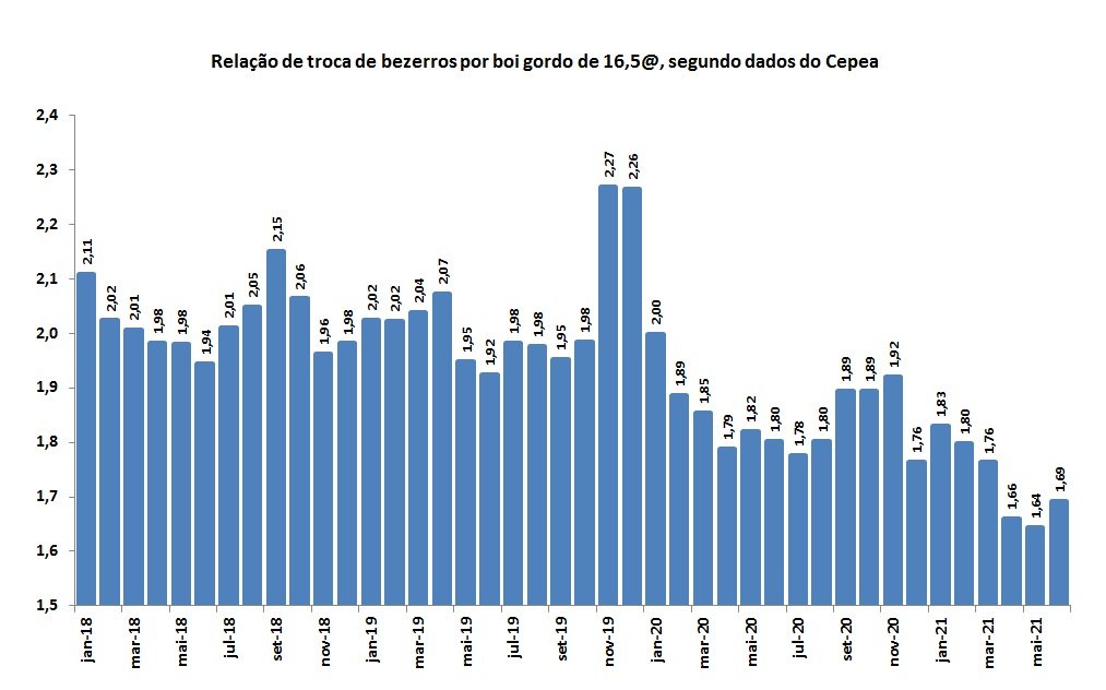 relação de bezerros por boi gordo