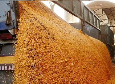 compra de soja do Brasil pela China