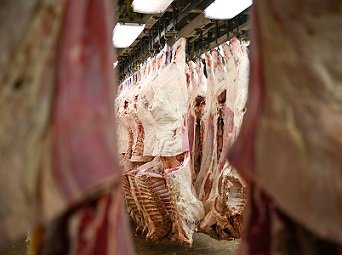 maiores exportadores de carne bovina