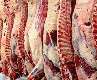 exportação de carne bovina