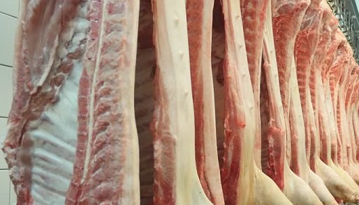 exportação de carne