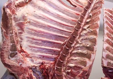 exportação de carne bovina