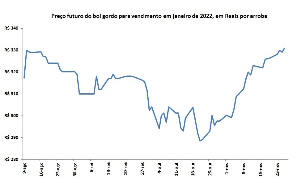preço futuro do boi gordo