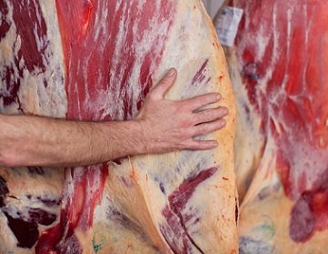 dados de exportação de carne