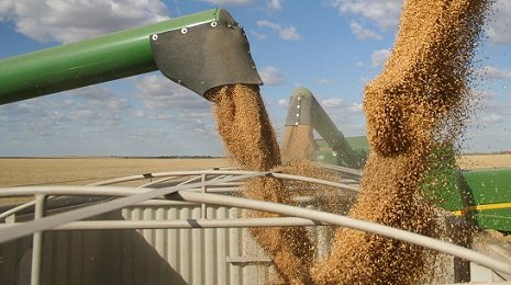 principais produtos exportados pelo agro