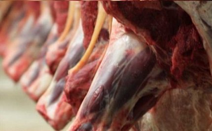 principais países importadores de carne bovina