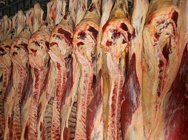 exportação de carne bovina