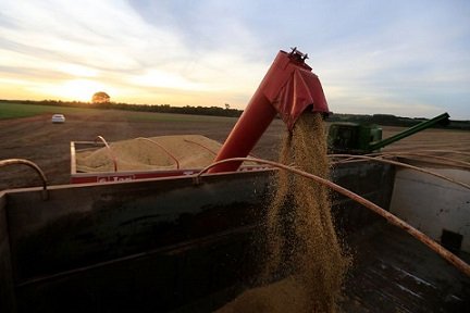exportação de soja do Brasil para a China