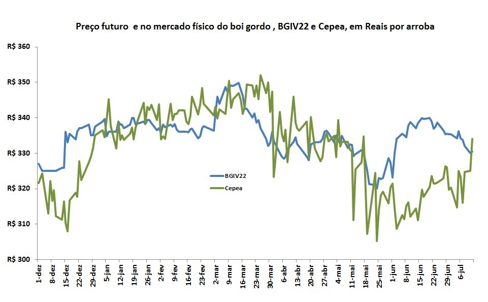 preço futuro do boi gordo