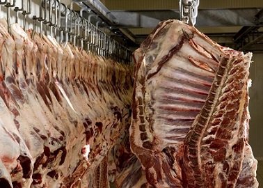 preço da carne bovina exportada