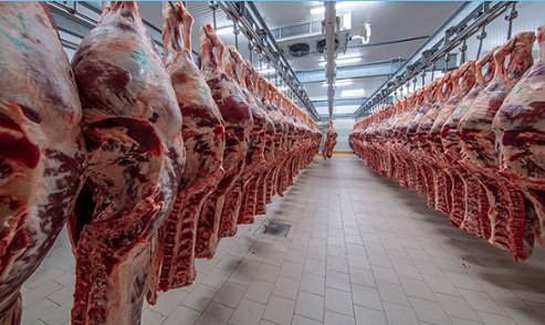 importação de carnes pela China