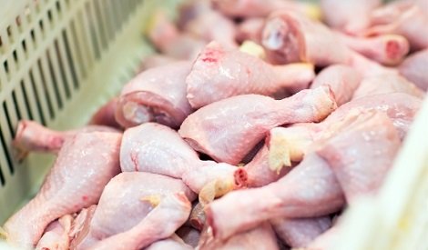 principais importadores de carne de frango