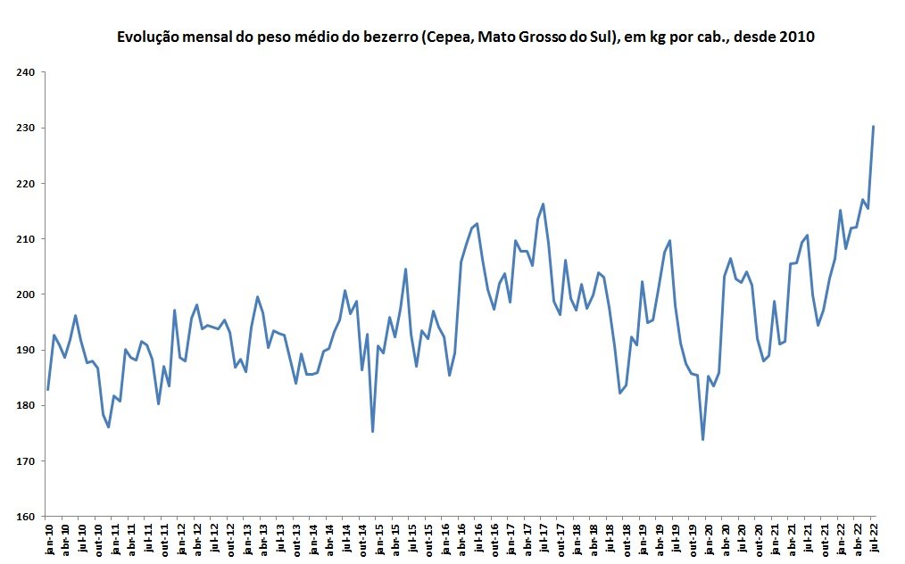 peso médio do bezerro