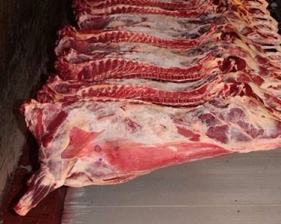 receita da exportação de carne bovina