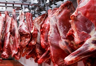 exportação de carne bovina