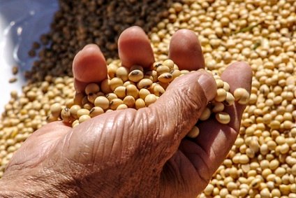 maiores importadores do agronegócio