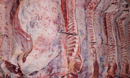 importação de carne bovina por país