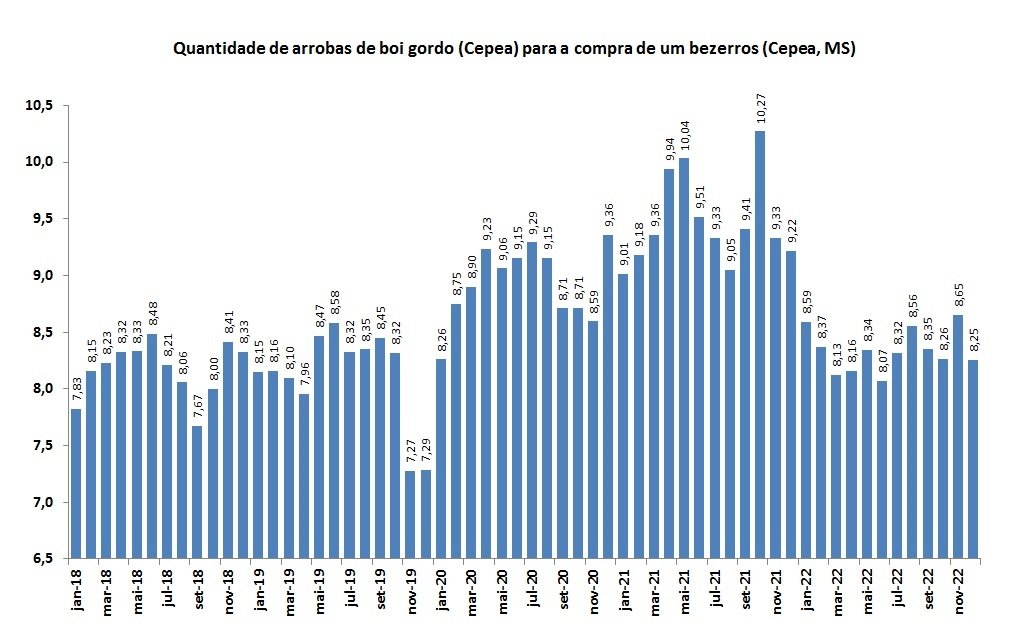 boi gordo por bezerro