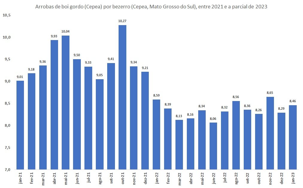 boi gordo por bezerro
