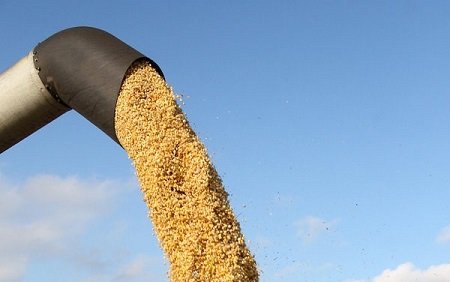 preço projetado do milho