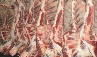 carne bovina do Brasil