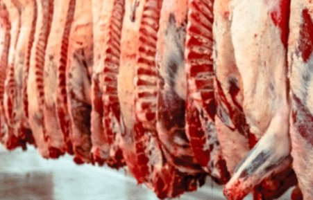 ágio da carne bovina exportada