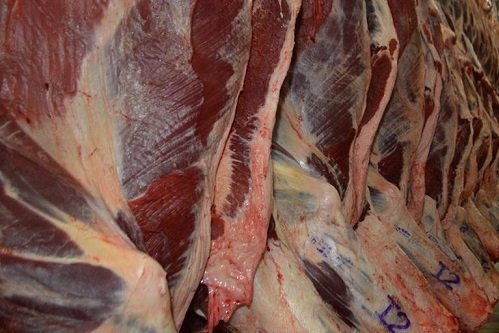 preço da carne bovina brasileira para exportação
