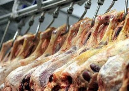 maiores importadores de carne bovina