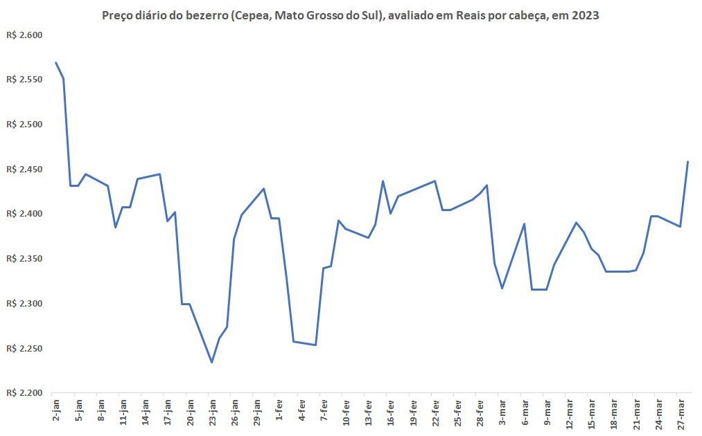 preço do bezerro