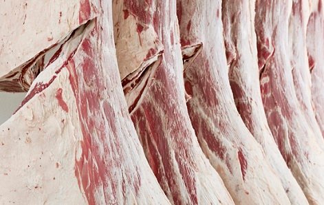 exportação de carne bovina