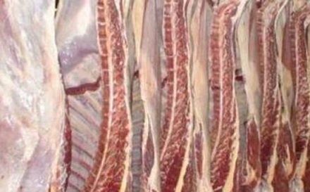 exportação de carne bovina