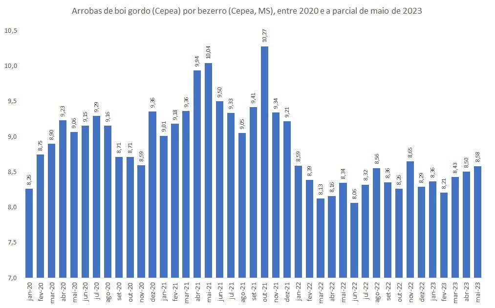arrobas de boi gordo por bezerro