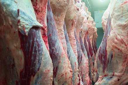 exportação de carne bovina
