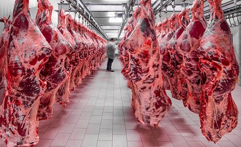 preço da carne bovina no atacado