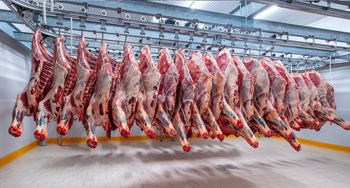 exportação de carne bovina