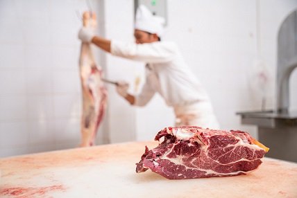 exportação de carne bovina