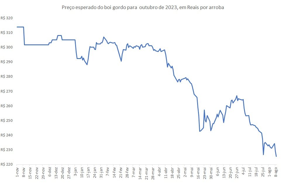 preço futuro do boi gordo