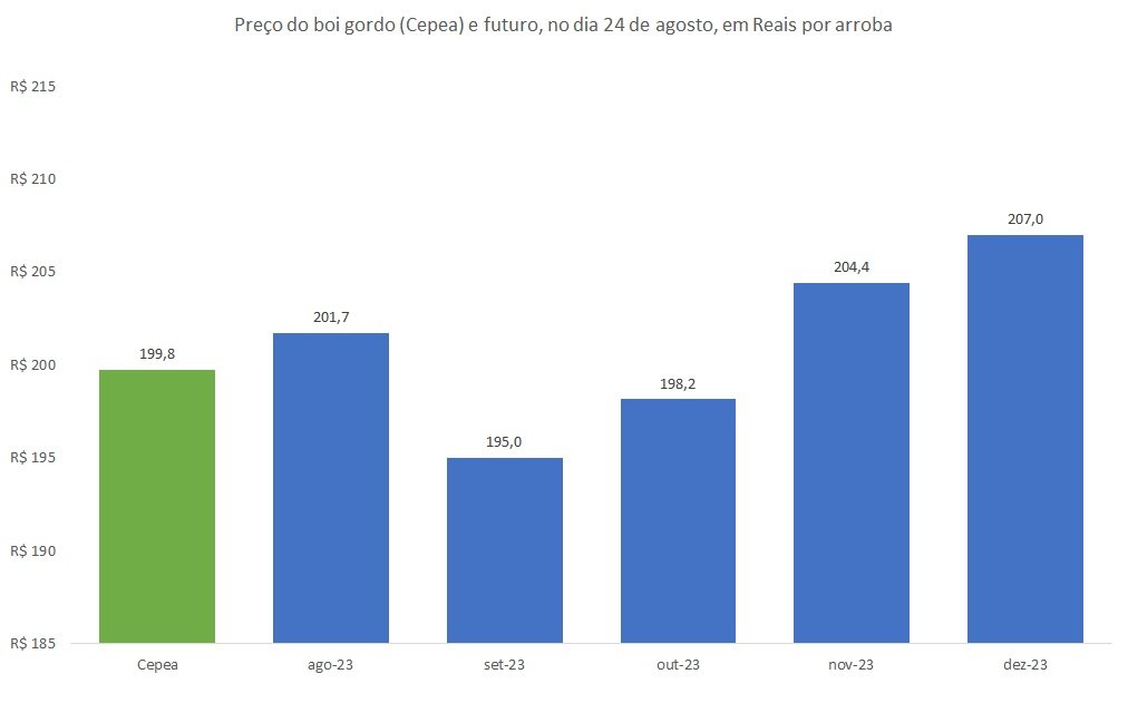 preço futuro do boi 