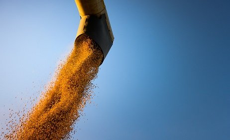 importância da china na exportação de soja