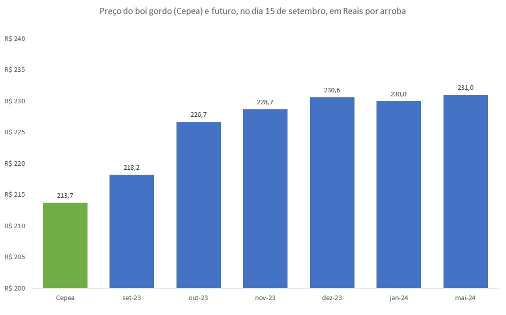 preço futuro do boi