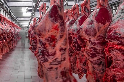 carne bovina do Brasil
