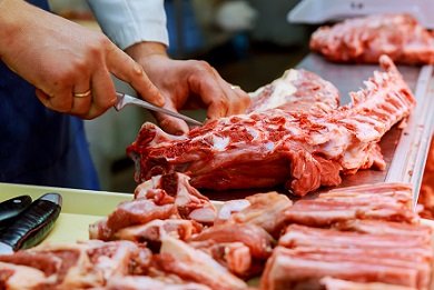 exportação de carne bovina