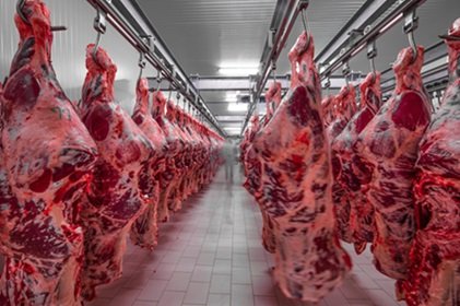 exportação de carne bovina