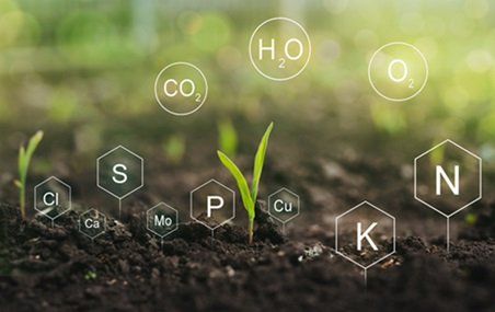 importação de fertilizantes
