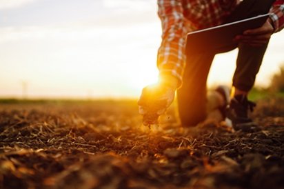 países exportadores de fertilizantes para o Brasil