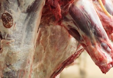 exportação de carne bovina